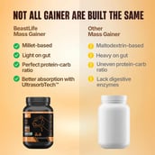 4 - BeastLife Anabolic Mass Gainer,  2.2 lb  Malai Kulfi 