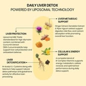 4 - Vlado's Himalayan Organics Liposomal Liver Detox with Milk Thistle 950mg,  60 veggie capsule(s) 