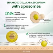 12 - Vlado's Himalayan Organics Liposomal Multivitamin Adult 50+, 60 veggie capsule(s) Natural
