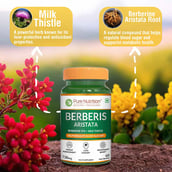 4 - Pure Nutrition Berberis Aristata, 60 veggie capsule(s)