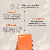 5 - Origins Nutra Metabolism Booster (Pack of 3),  56 veggie capsule(s) 