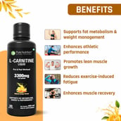 3 - Pure Nutrition L-Carnitine Liquid,  450 ml  Valencia Orange 