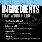 2 - Universal Nutrition Animal Flex Comprehensive Joint Care Cherry Berry, 339 g