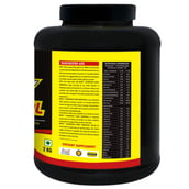 supplementinfo - Bigg Nutrition Whey Essential, 4.4 lb Chocolate + Shaker Free